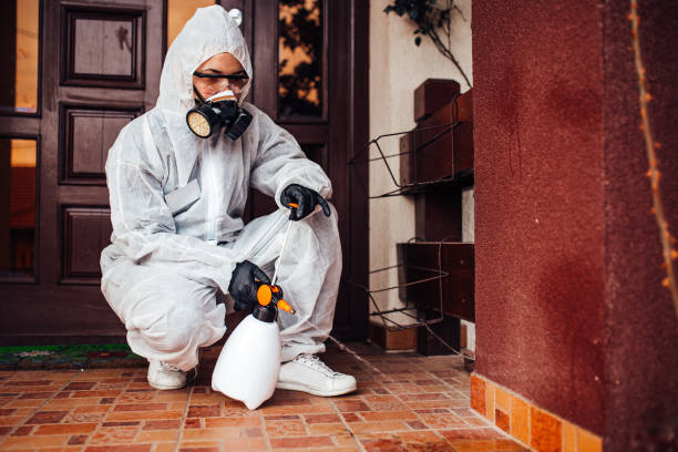 Attic and Crawl Space Rodent Treatment in Greenwood